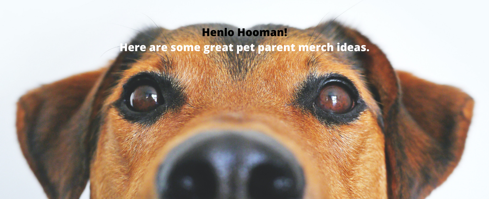 Doodle Time! Pet Parent Merchandise 