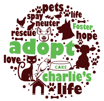 Adopt Tote Bag