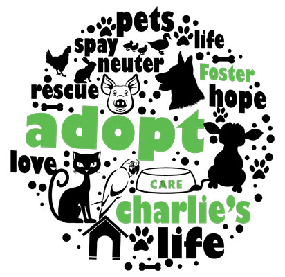 Adopt Mug