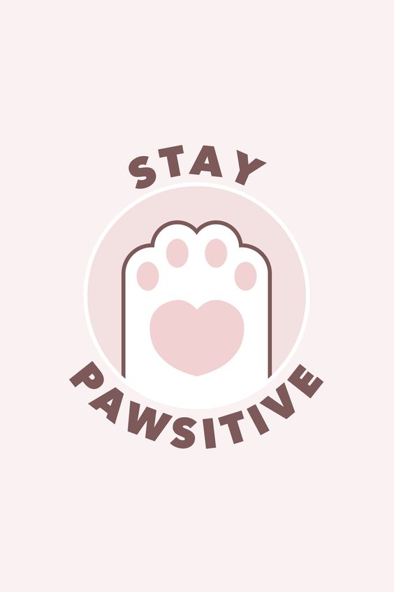 Stay Pawsitive T-Shirt